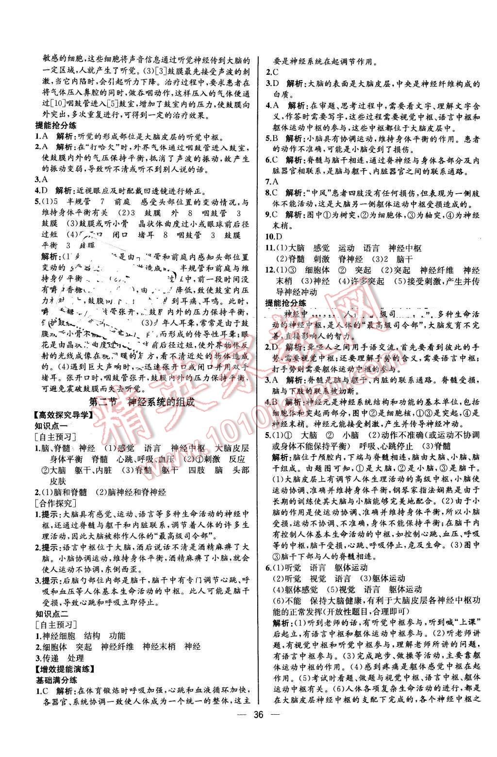 2015年同步导学案课时练七年级生物学下册人教版河北专版 第20页