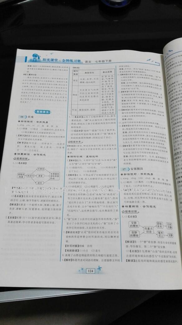 2016年陽光課堂金牌練習(xí)冊七年級語文下冊人教版 第119頁