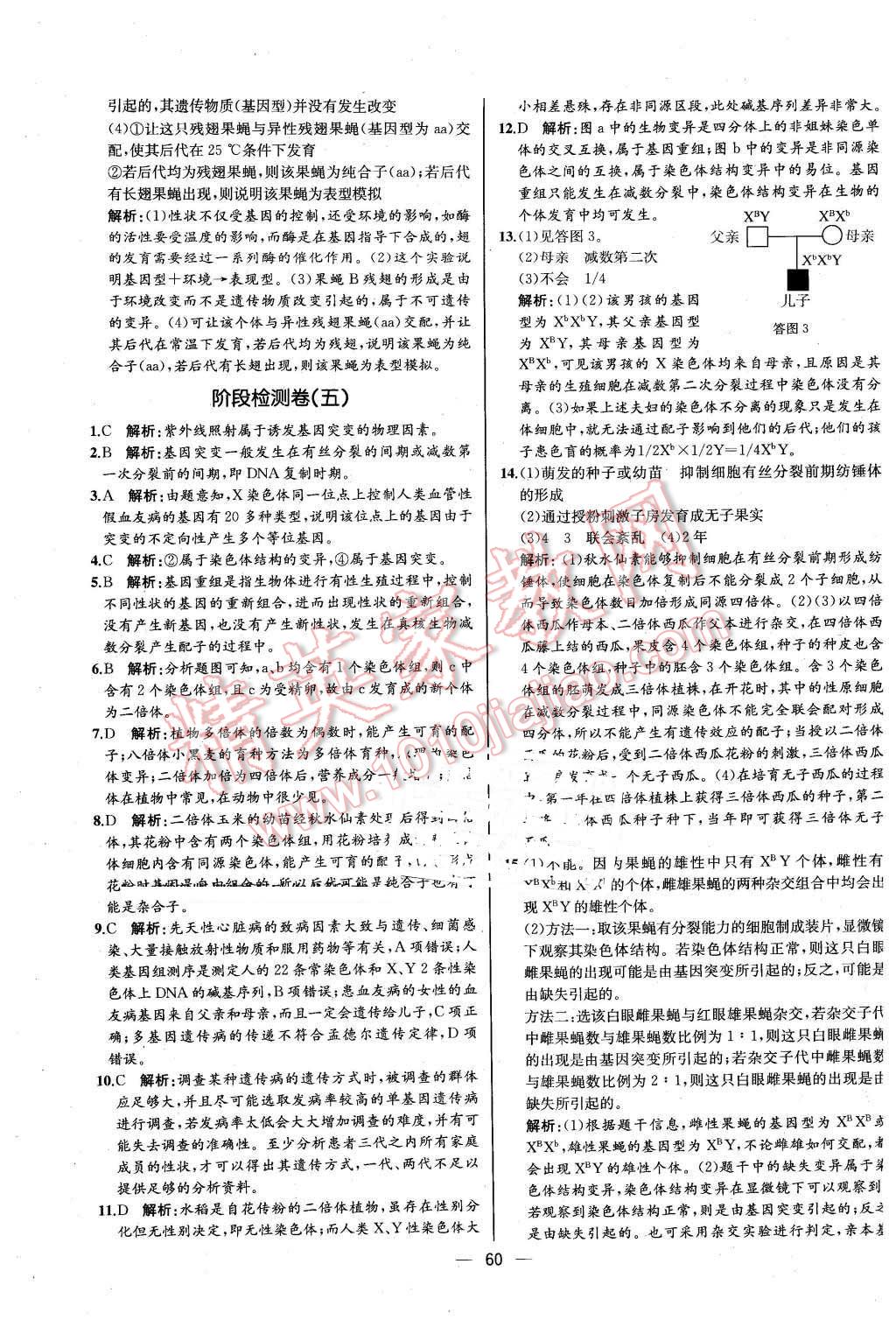 2016年同步導(dǎo)學(xué)案課時練生物必修2遺傳與進(jìn)化人教版河北專版 第18頁