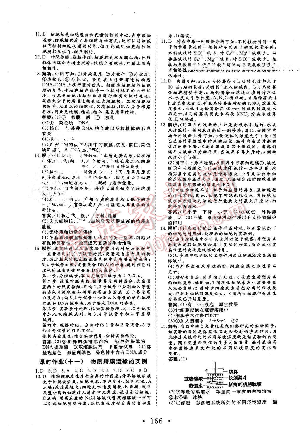 2016年高中新課標(biāo)學(xué)業(yè)質(zhì)量模塊測評生物必修1人教版 第18頁