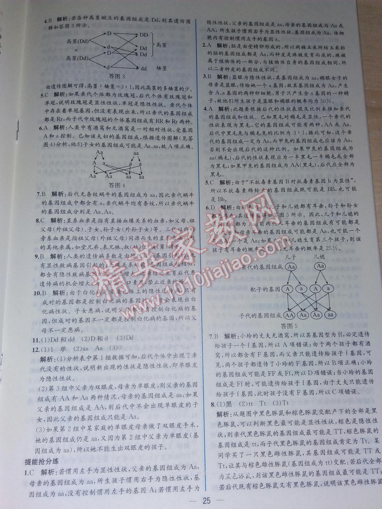 2016年同步导学案课时练八年级生物学下册人教版 第41页