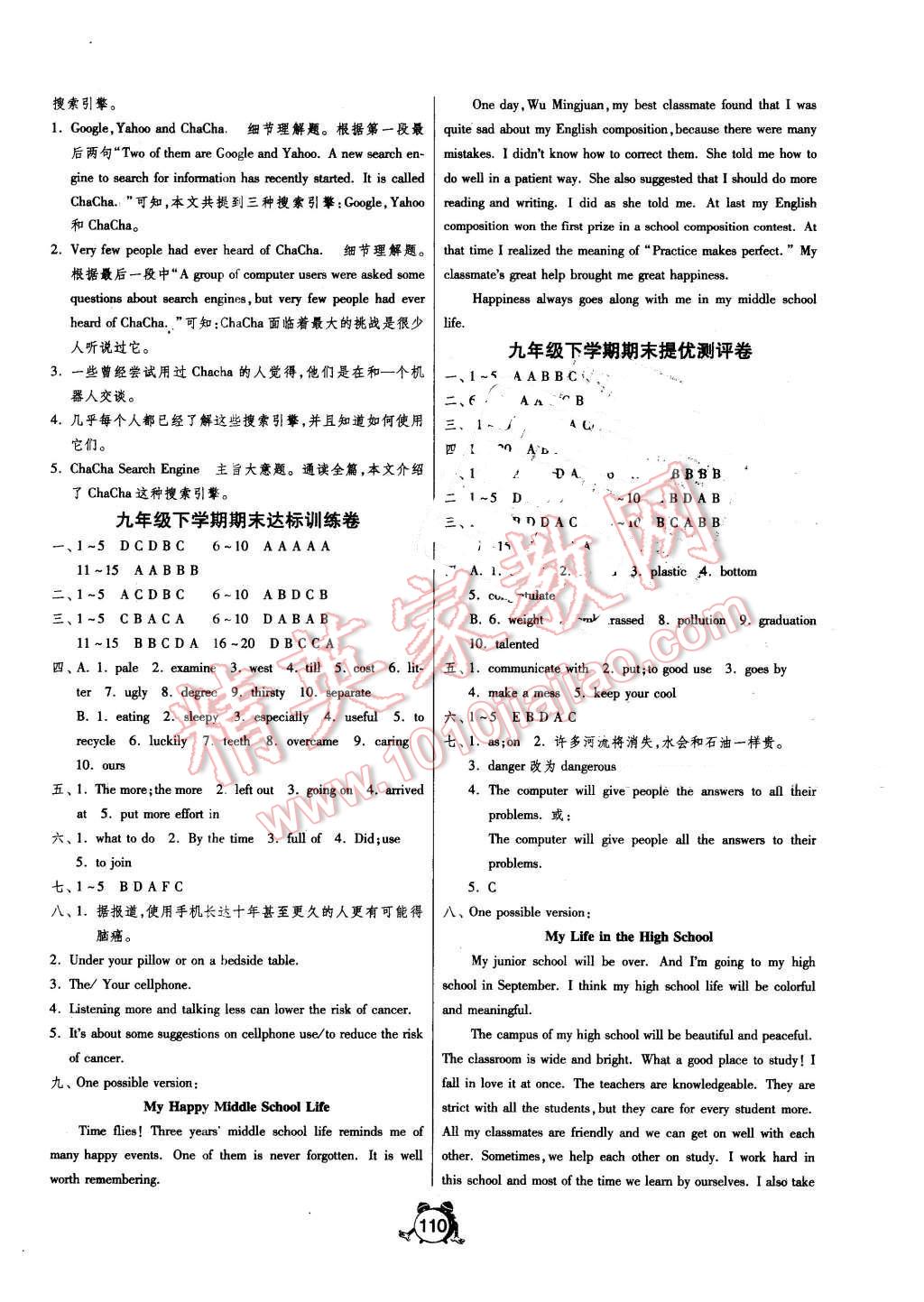 2016年单元双测全程提优测评卷九年级英语下册人教新目标版 第10页