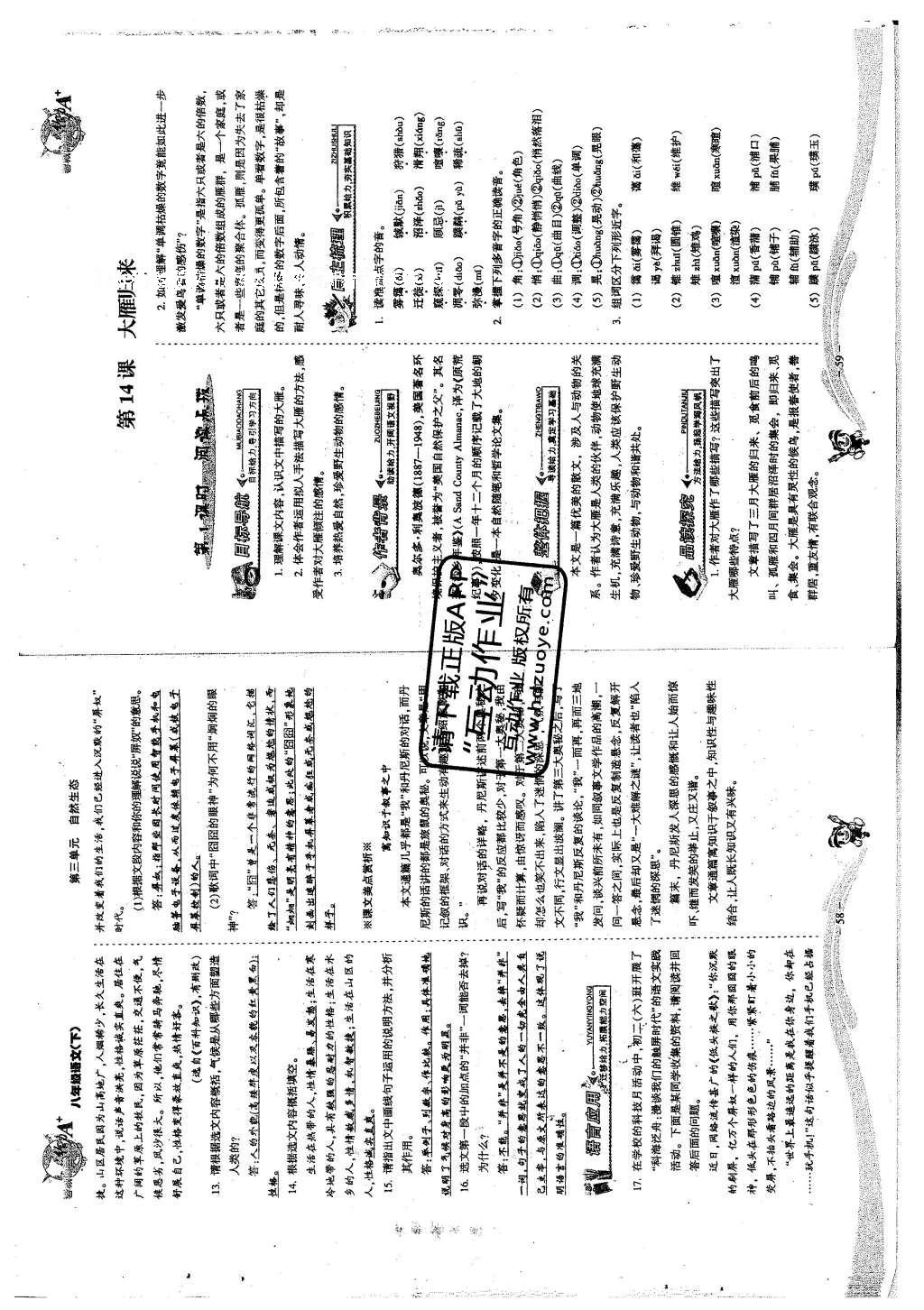 2016年蓉城課堂給力A加八年級語文下冊 第三單元 自然生態(tài)第64頁