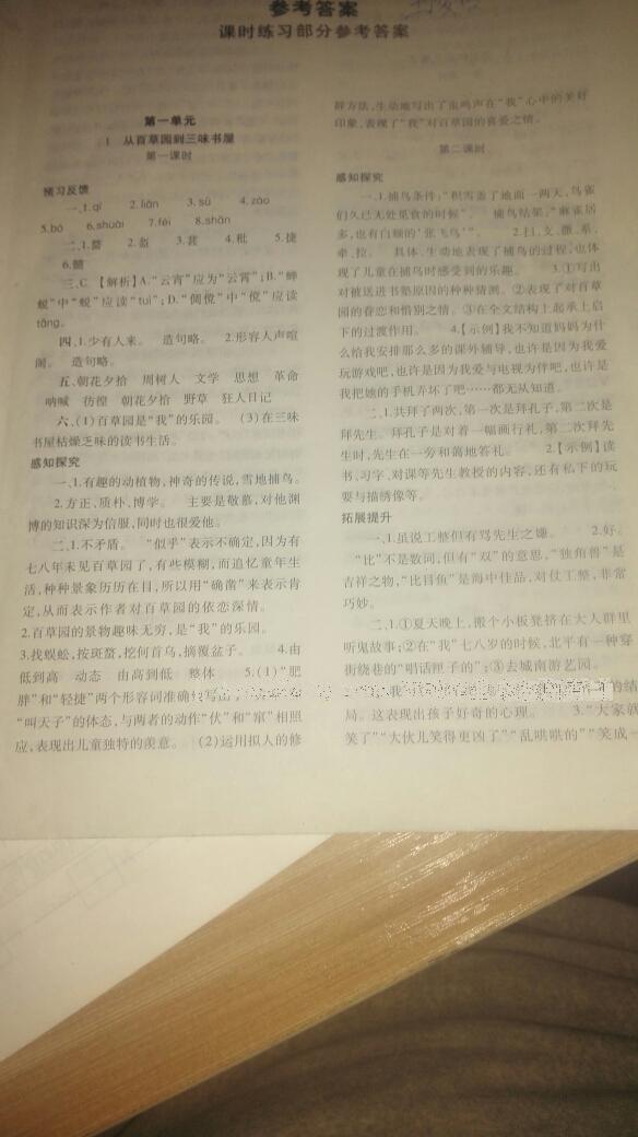 2015年基礎訓練七年級語文下冊人教版僅限河南省使用大象出版社 第219頁