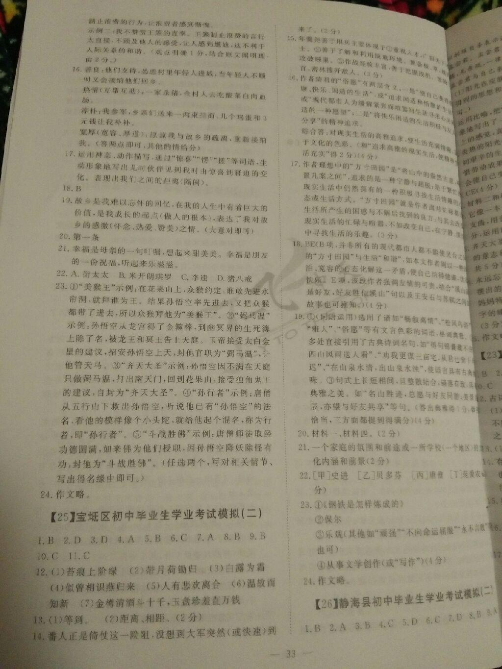 2015年中考必備初中模擬匯編語文 第29頁