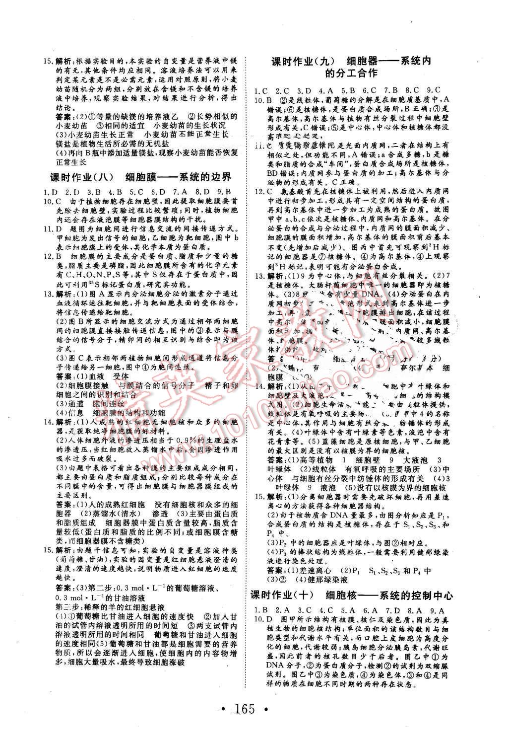 2016年高中新課標學(xué)業(yè)質(zhì)量模塊測評生物必修1人教版 第17頁