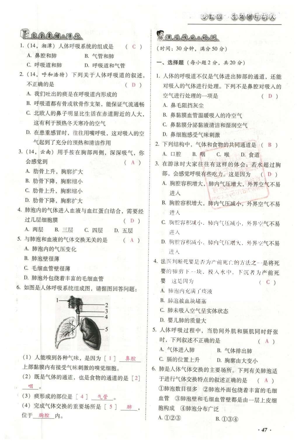 2016年云南中考本土攻略精準(zhǔn)復(fù)習(xí)方案生物 專題四 生物圈中的人第71頁