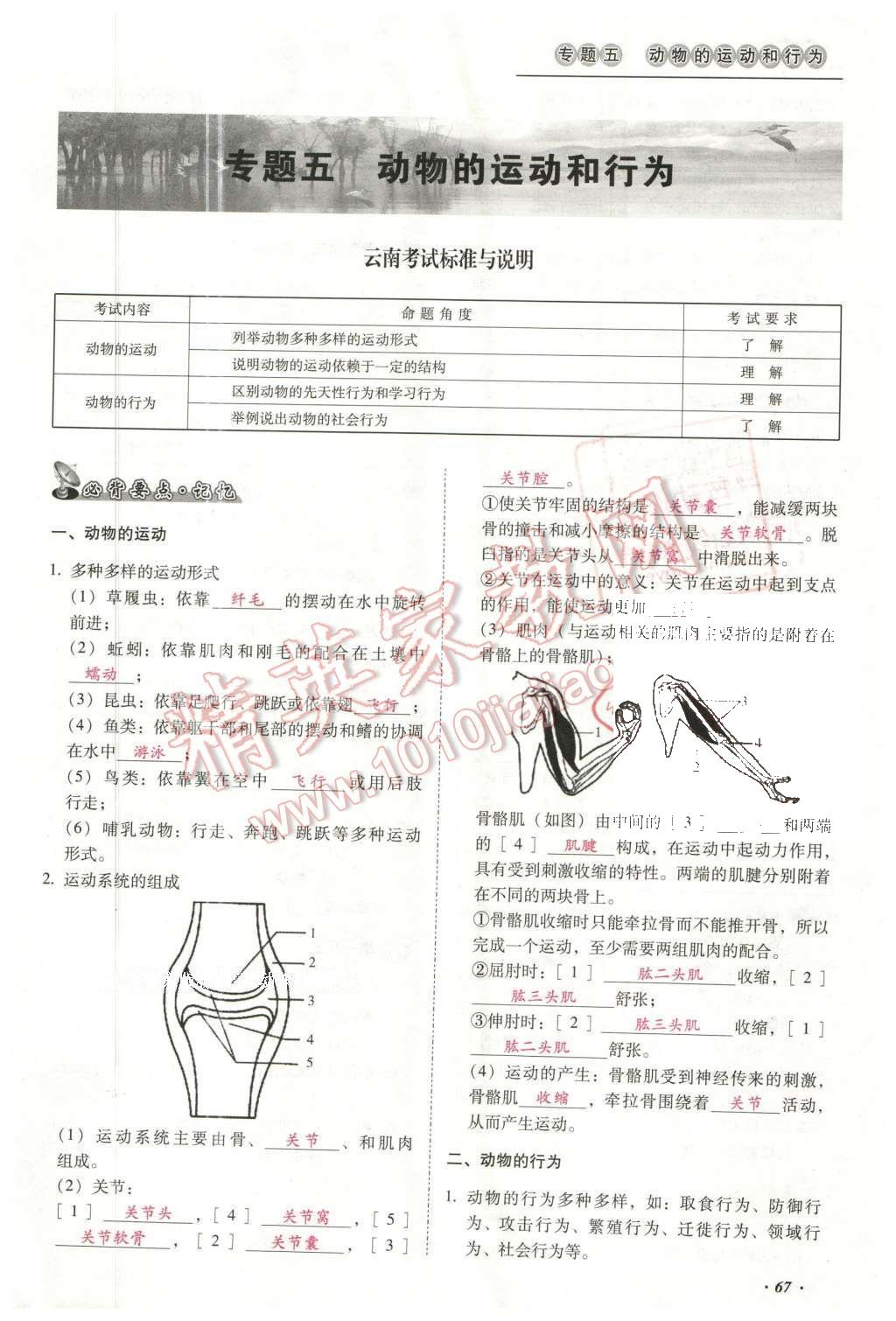 2016年云南中考本土攻略精準(zhǔn)復(fù)習(xí)方案生物 專(zhuān)題五 動(dòng)物的運(yùn)動(dòng)和行為第91頁(yè)