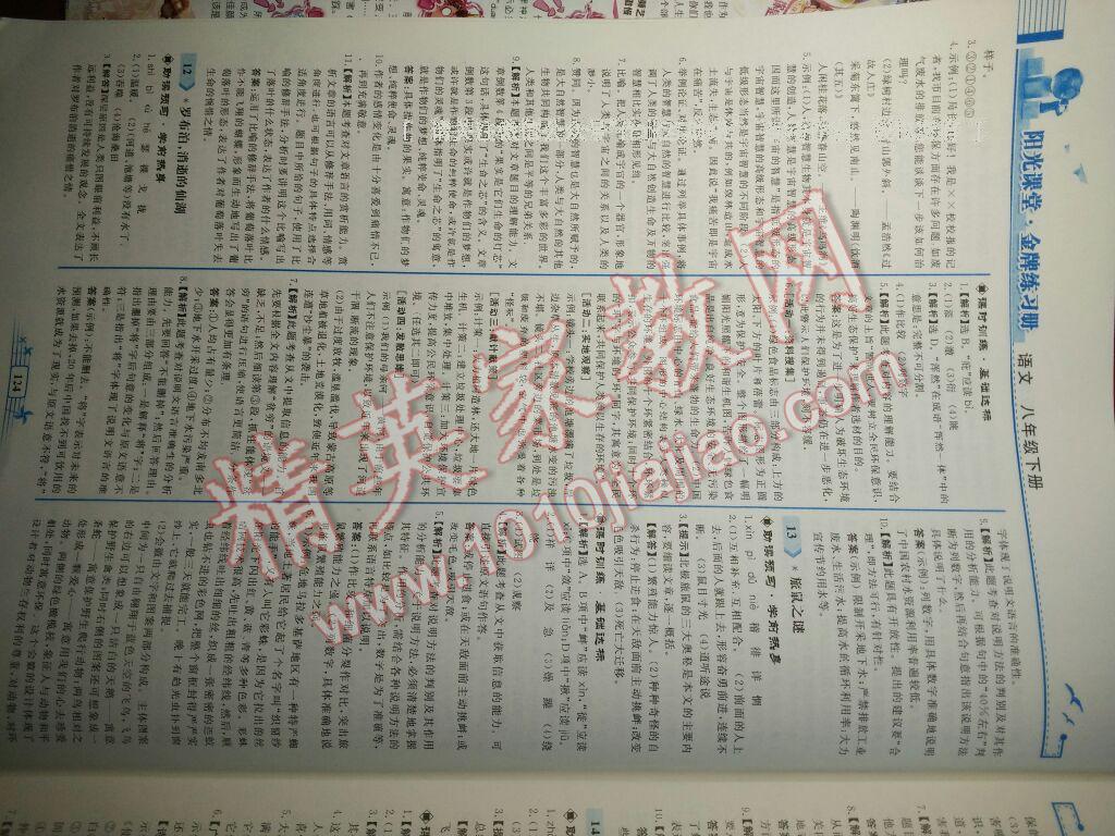 2016年陽光課堂金牌練習(xí)冊八年級語文下冊人教版 第52頁