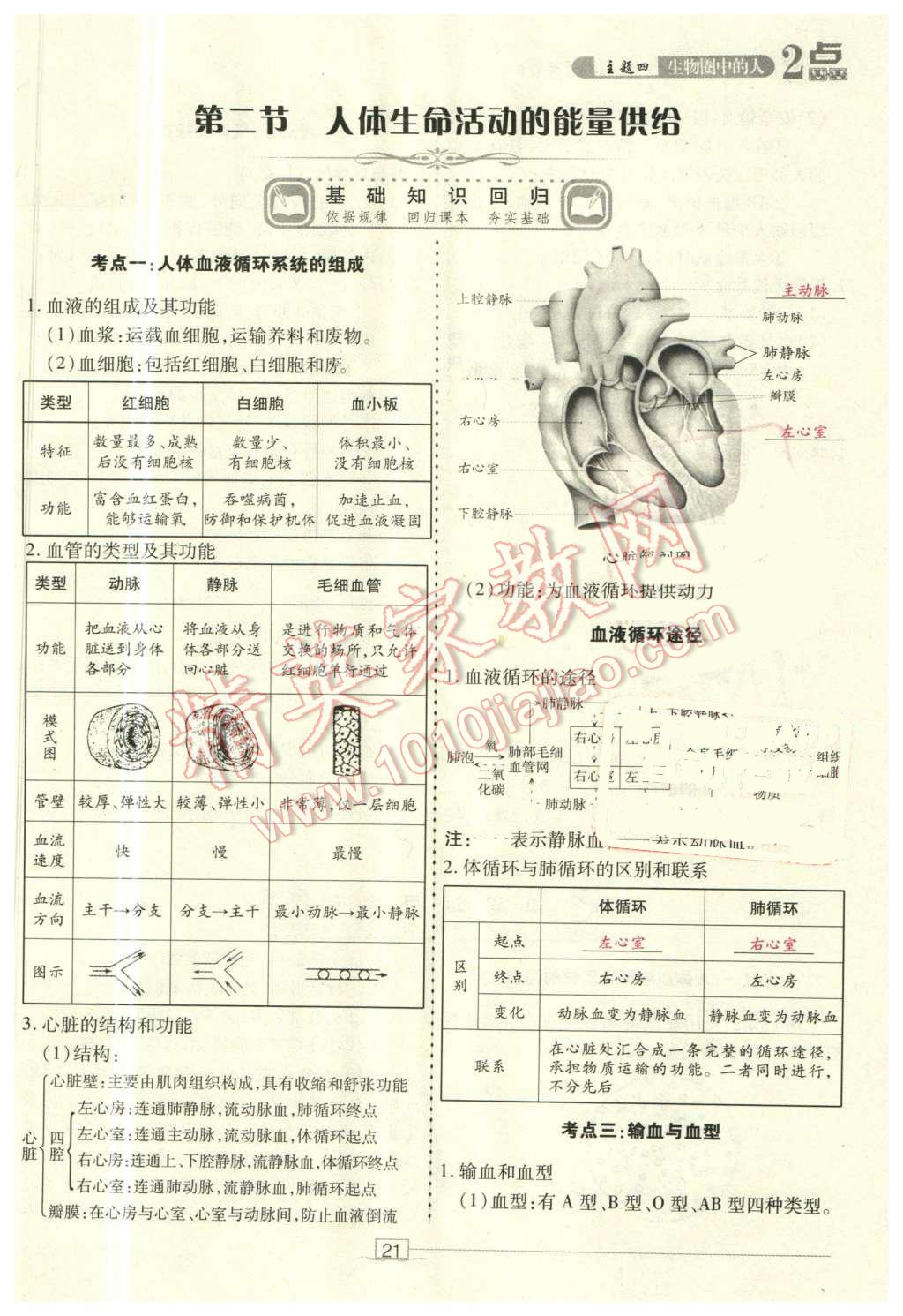 2016年2點(diǎn)備考案生物 第21頁