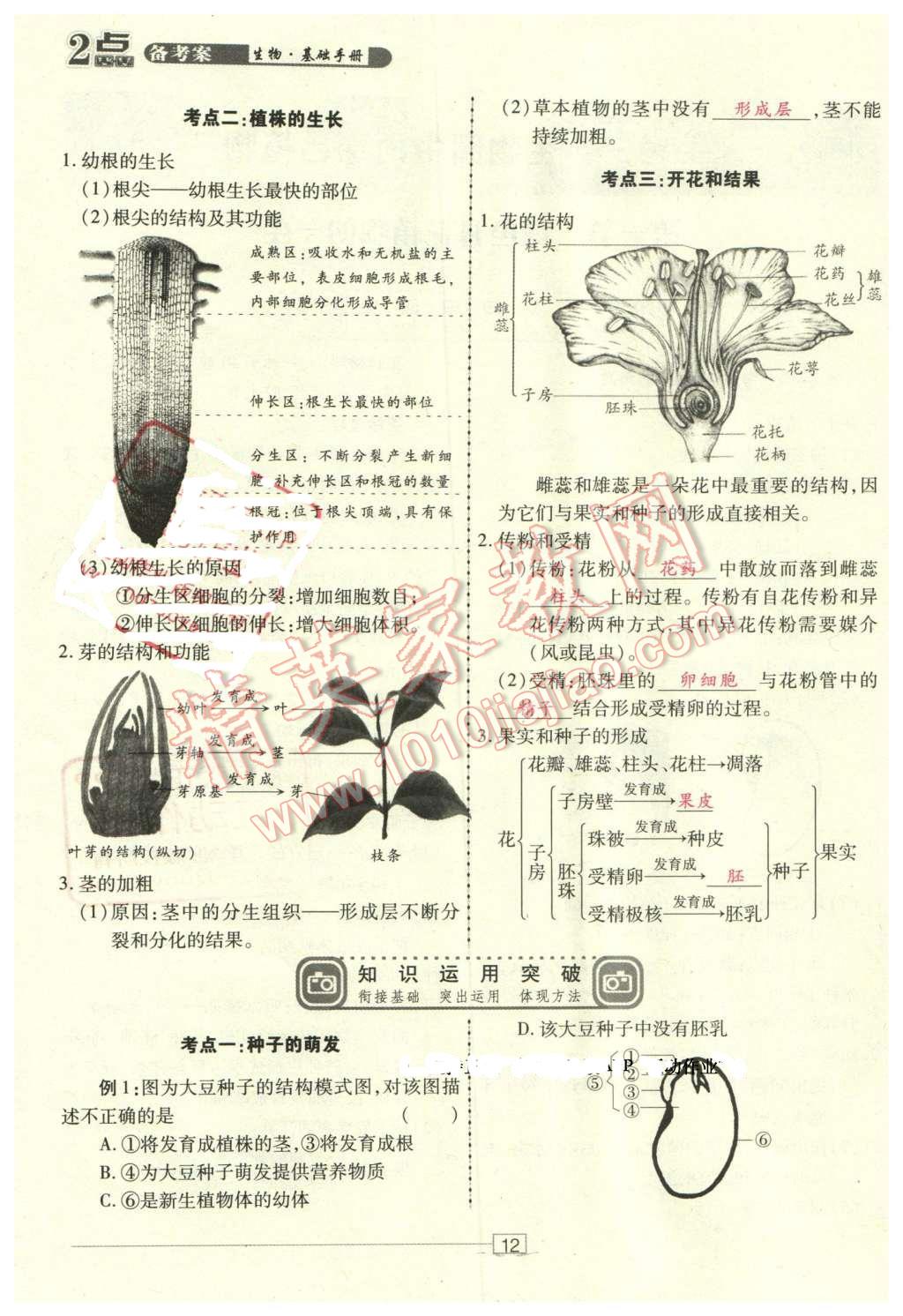 2016年2點備考案生物 第12頁