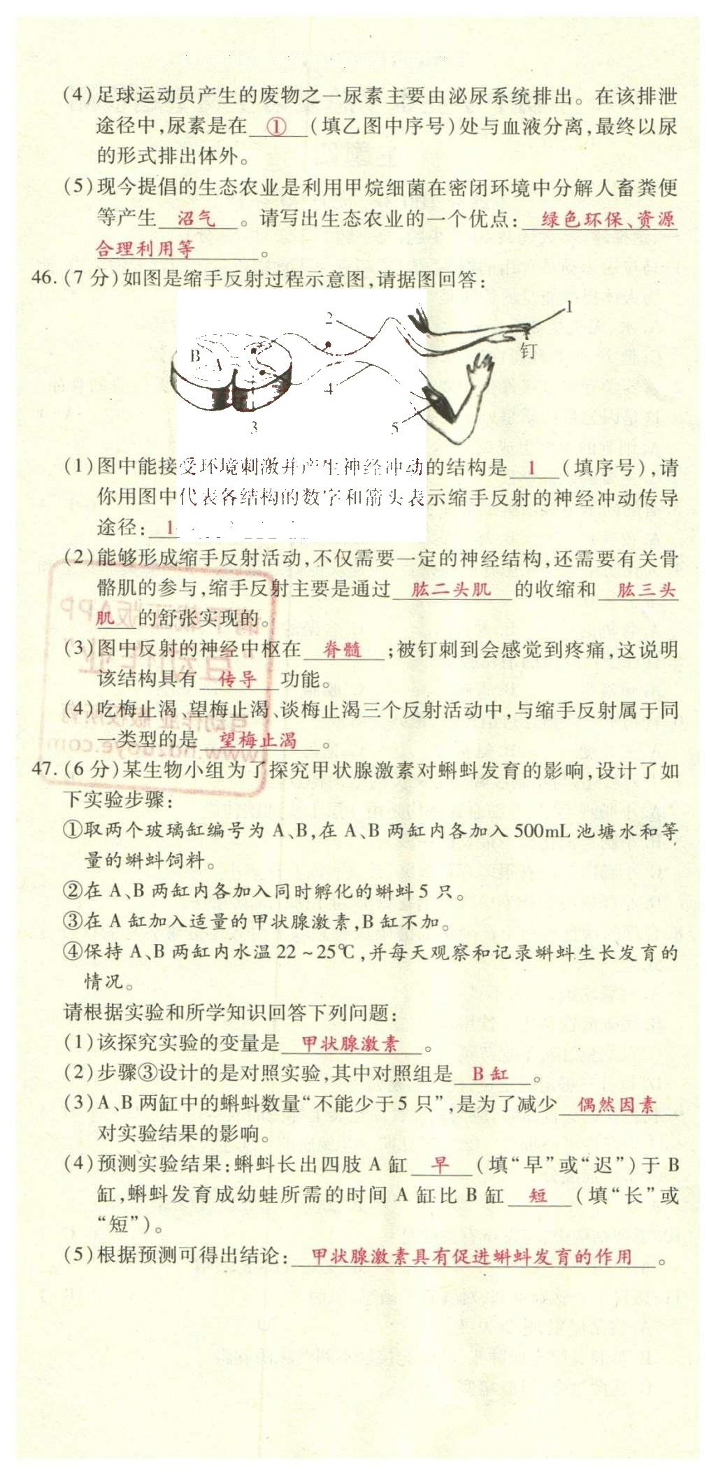 2016年2點(diǎn)備考案生物 學(xué)業(yè)水平模擬試卷答案第58頁