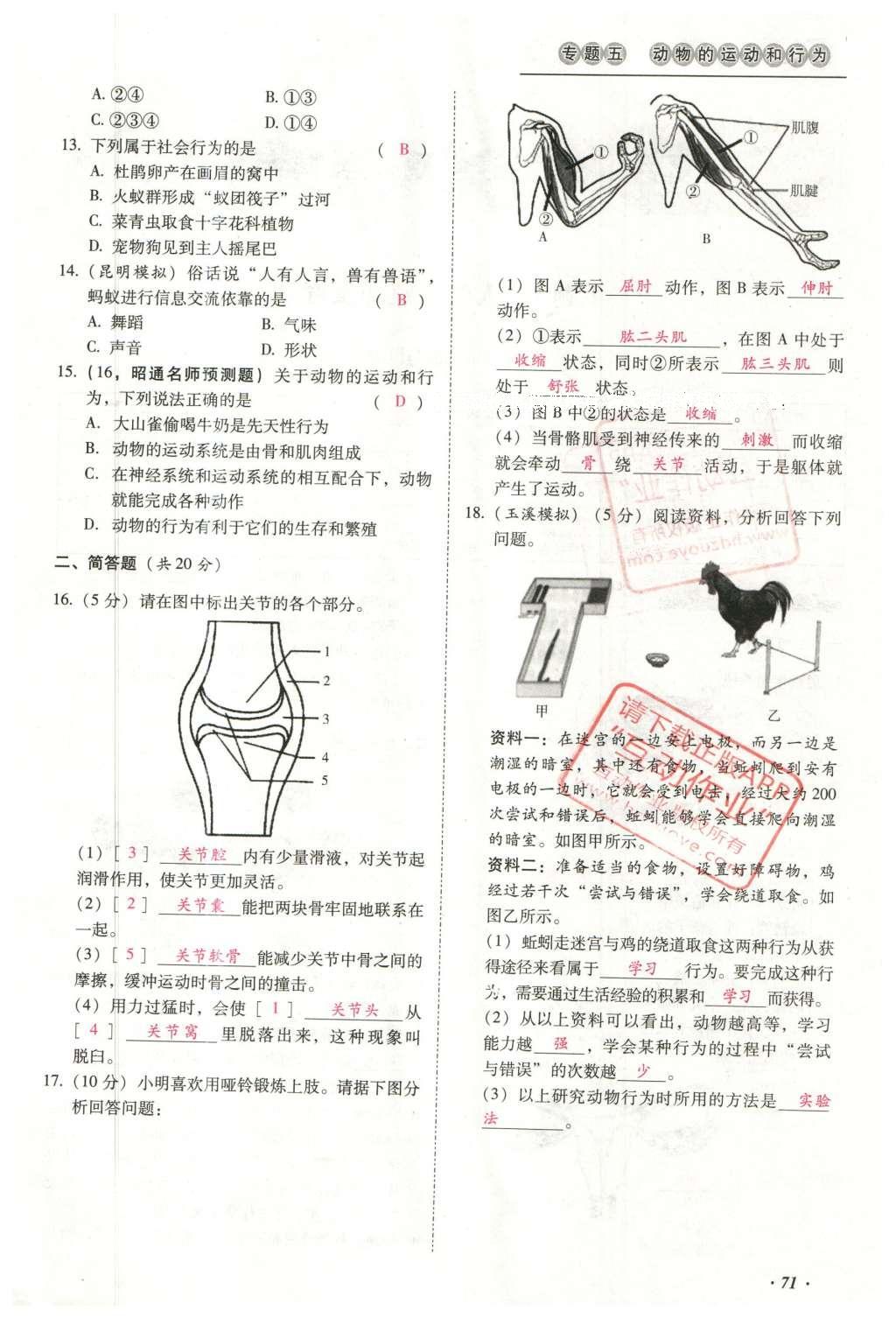 2016年云南中考本土攻略精準(zhǔn)復(fù)習(xí)方案生物 專題五 動物的運(yùn)動和行為第95頁