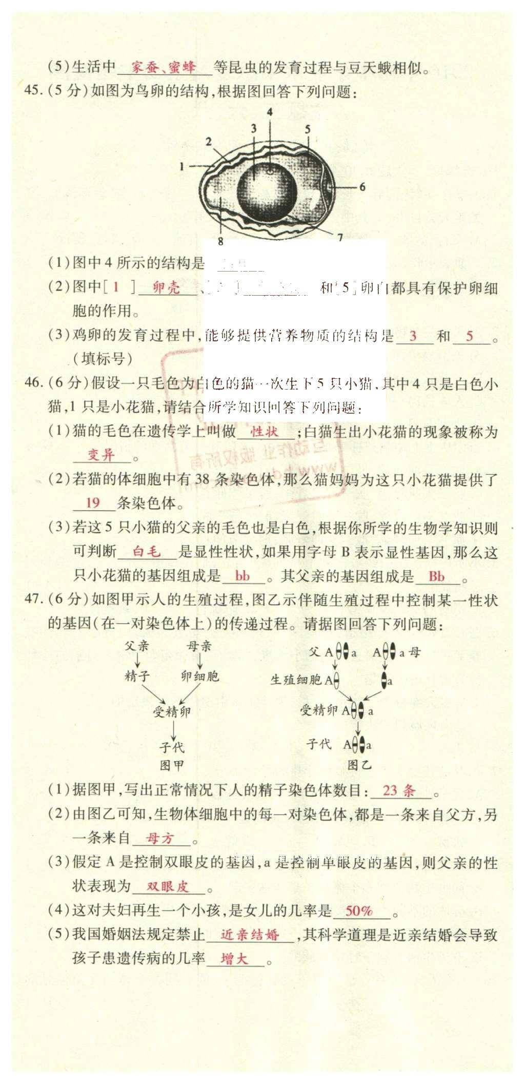 2016年2點(diǎn)備考案生物 學(xué)業(yè)水平模擬試卷答案第64頁(yè)