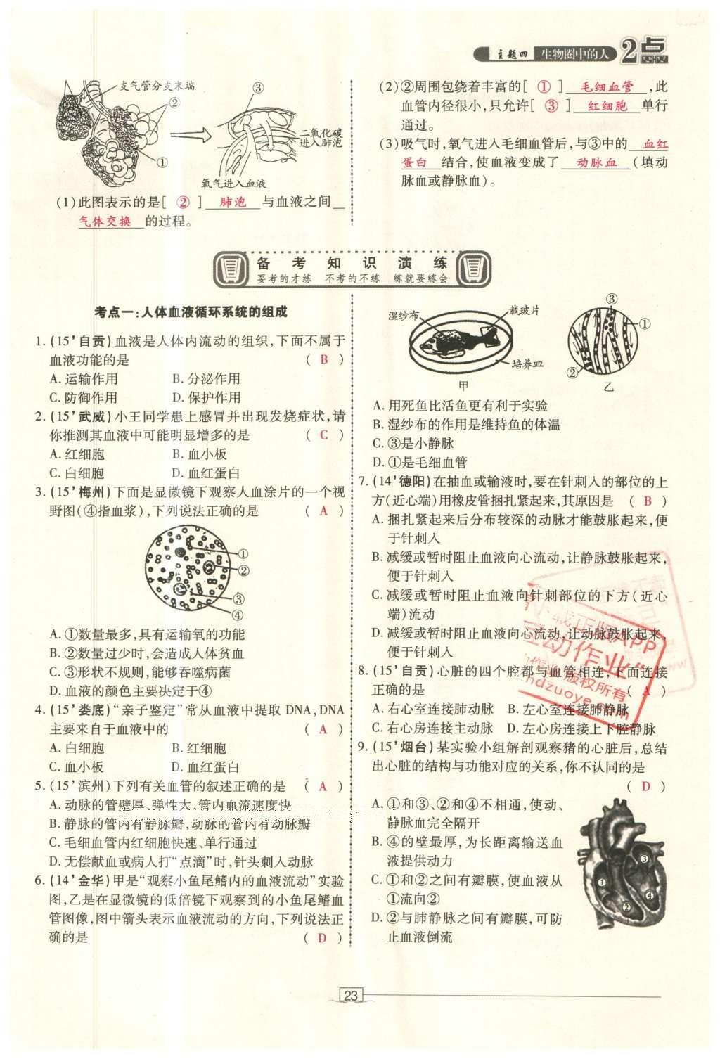 2016年2點(diǎn)備考案生物 參考答案第93頁