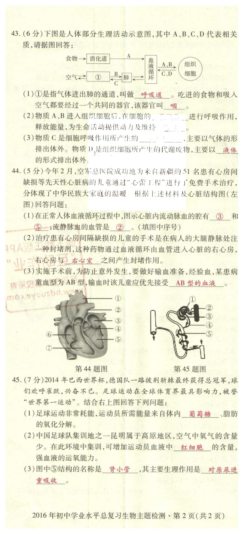 2016年2點備考案生物 學業(yè)水平模擬試卷答案第57頁