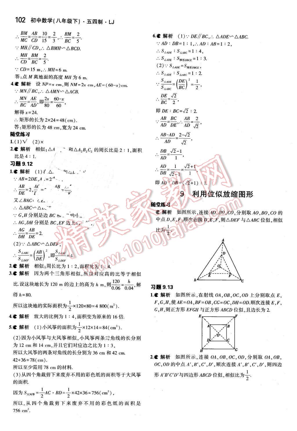课本八年级数学下册鲁教版五四制&nbsp;参考答案第24页