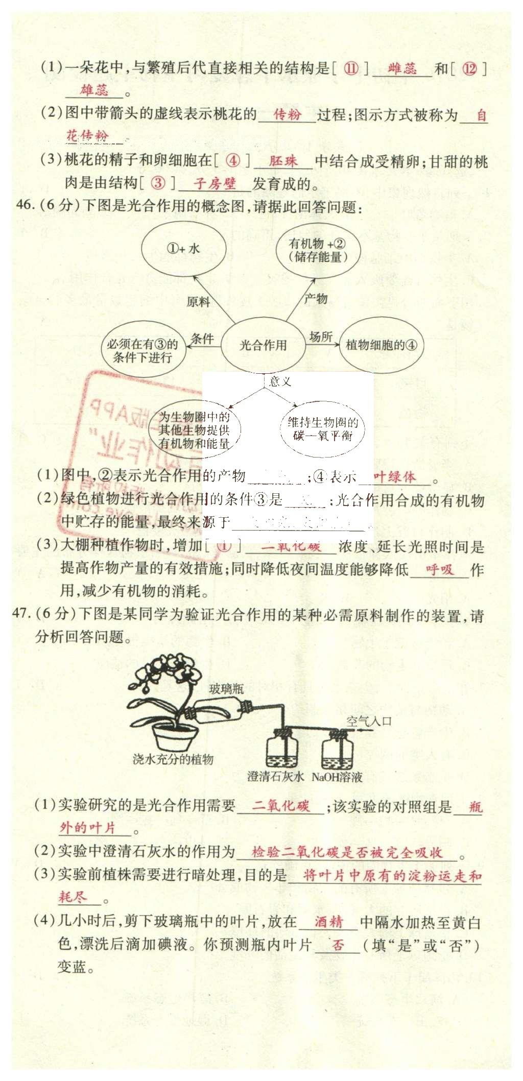 2016年2點備考案生物 學(xué)業(yè)水平模擬試卷答案第52頁