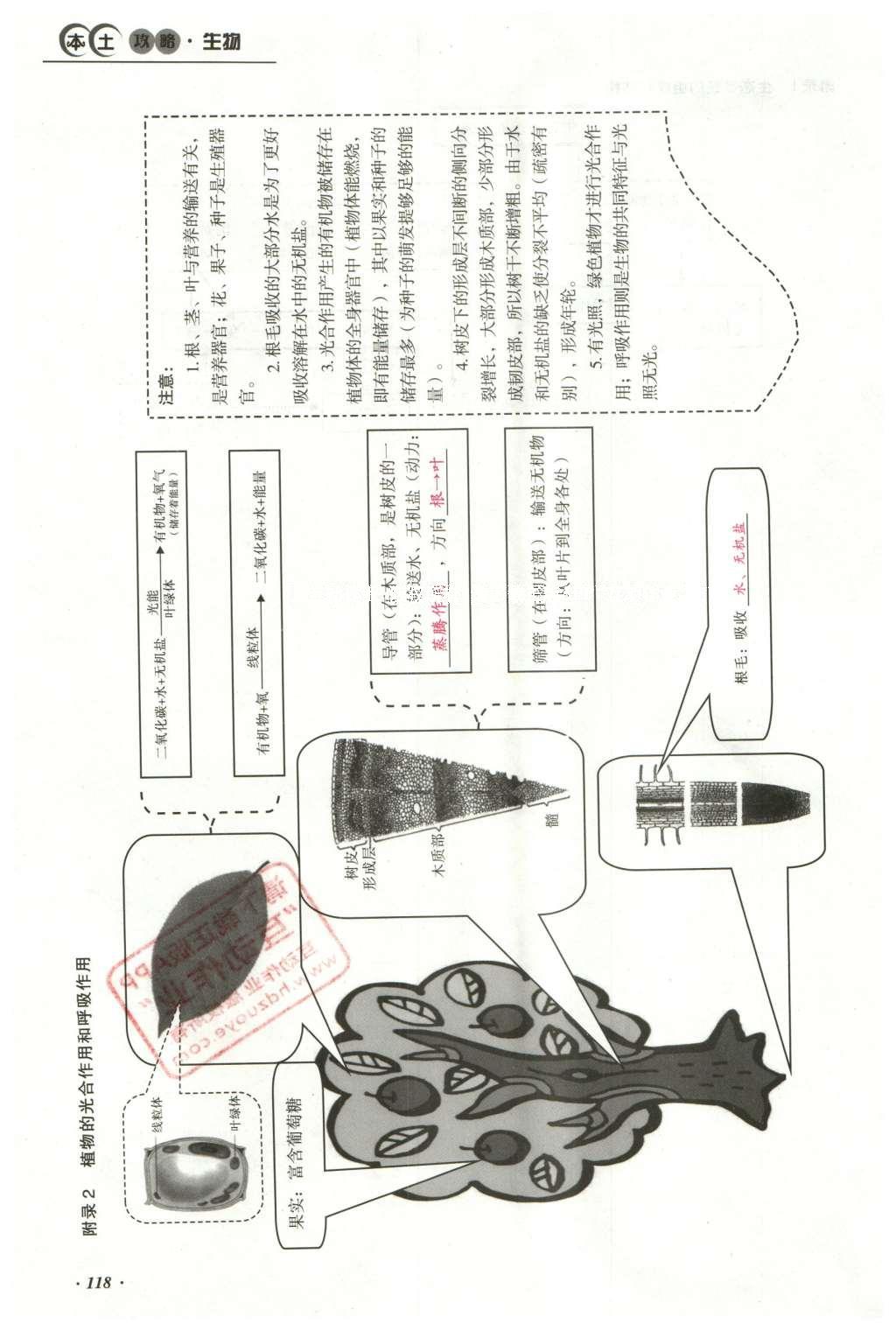 2016年云南中考本土攻略精准复习方案生物 专题十 科学探究第142页