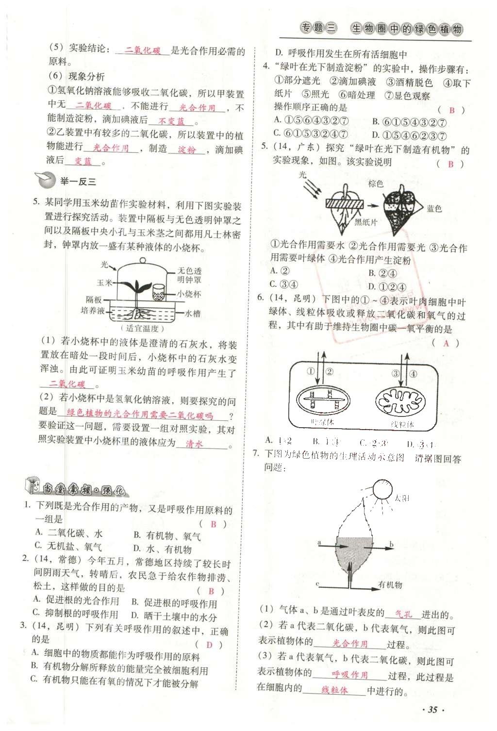 2016年云南中考本土攻略精準復習方案生物 專題三 生物圈中的綠色植物第59頁