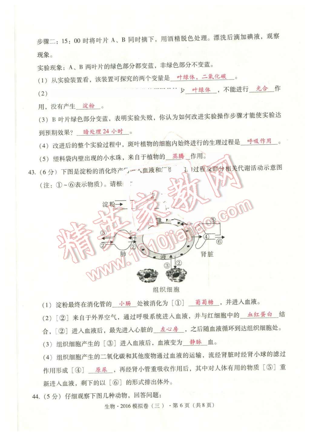 2016年云南中考本土攻略精準復(fù)習方案生物 第22頁