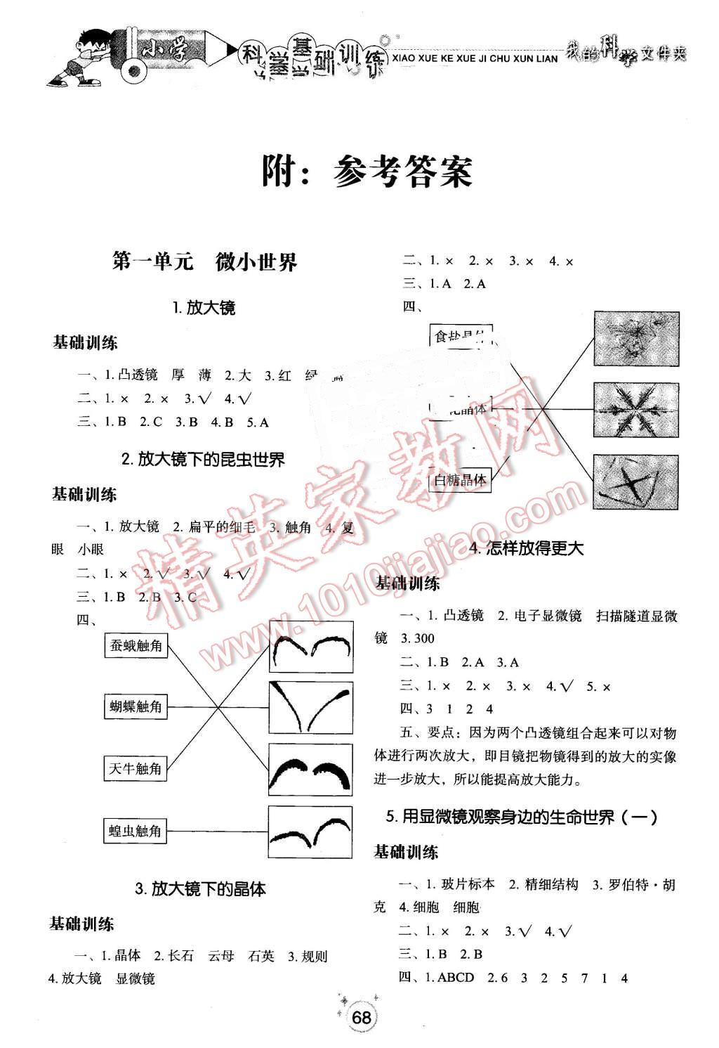 2016年小學(xué)基礎(chǔ)訓(xùn)練六年級(jí)科學(xué)下冊(cè)教科版山東教育出版社 第1頁(yè)