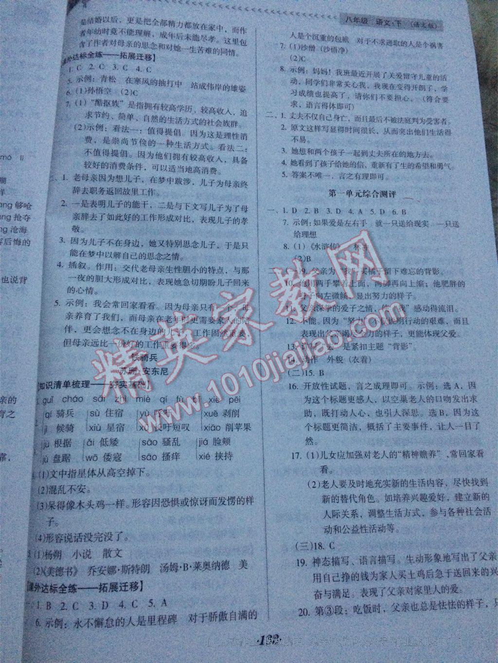 2016年全優(yōu)點(diǎn)練課計(jì)劃八年級(jí)語(yǔ)文下冊(cè)語(yǔ)文版 第53頁(yè)