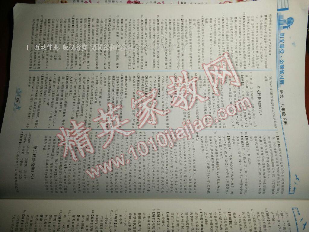 2016年陽(yáng)光課堂金牌練習(xí)冊(cè)八年級(jí)語(yǔ)文下冊(cè)人教版 第64頁(yè)