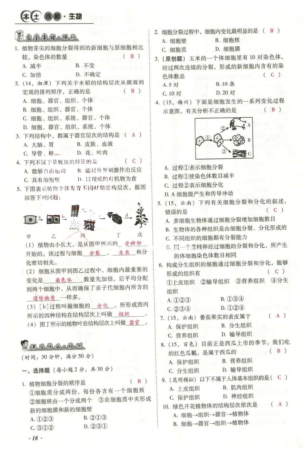 2016年云南中考本土攻略精準復習方案生物 專題二 生物體的結構層次第42頁