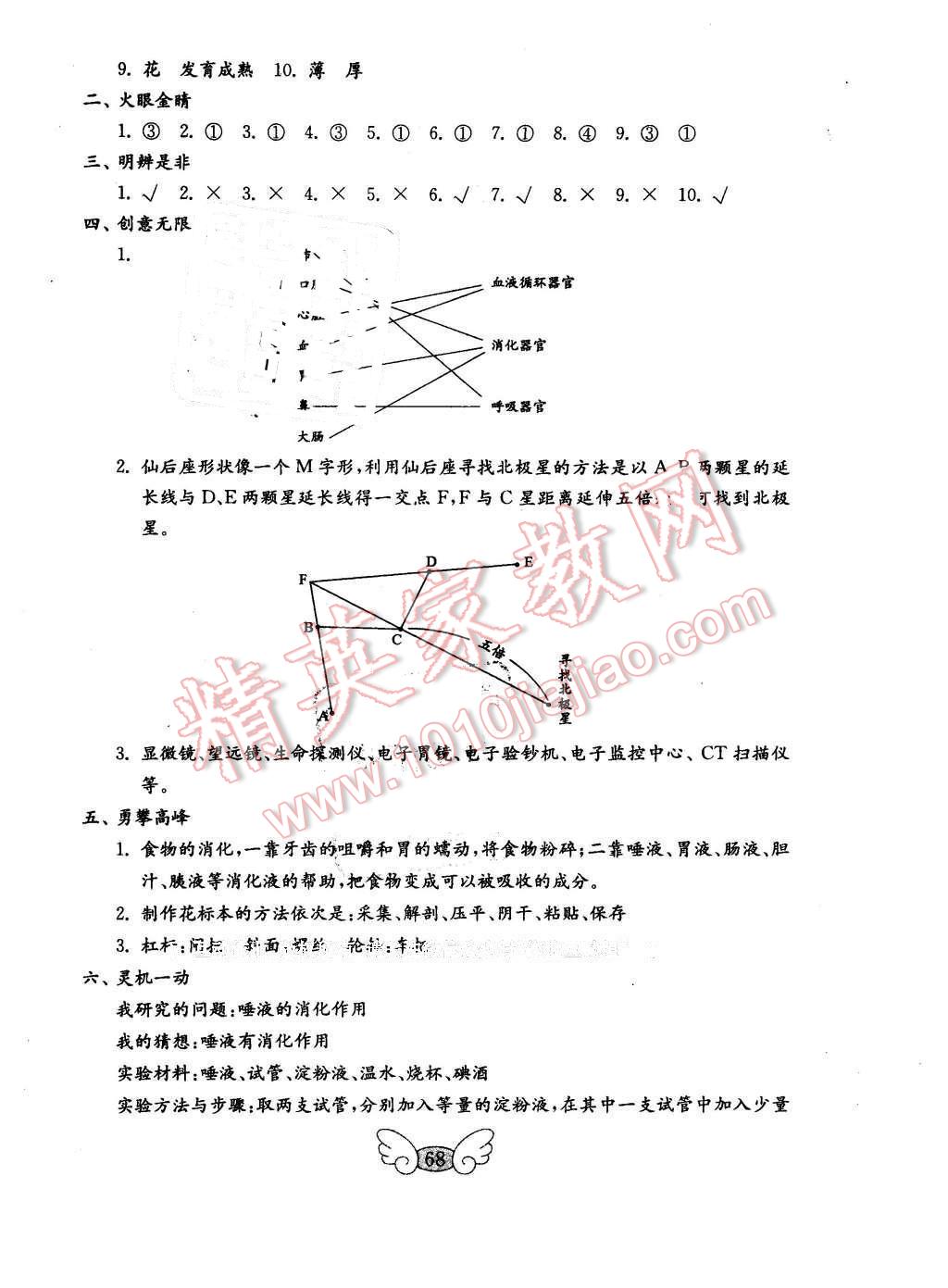 2016年金钥匙小学科学试卷五年级下册青岛版 第12页