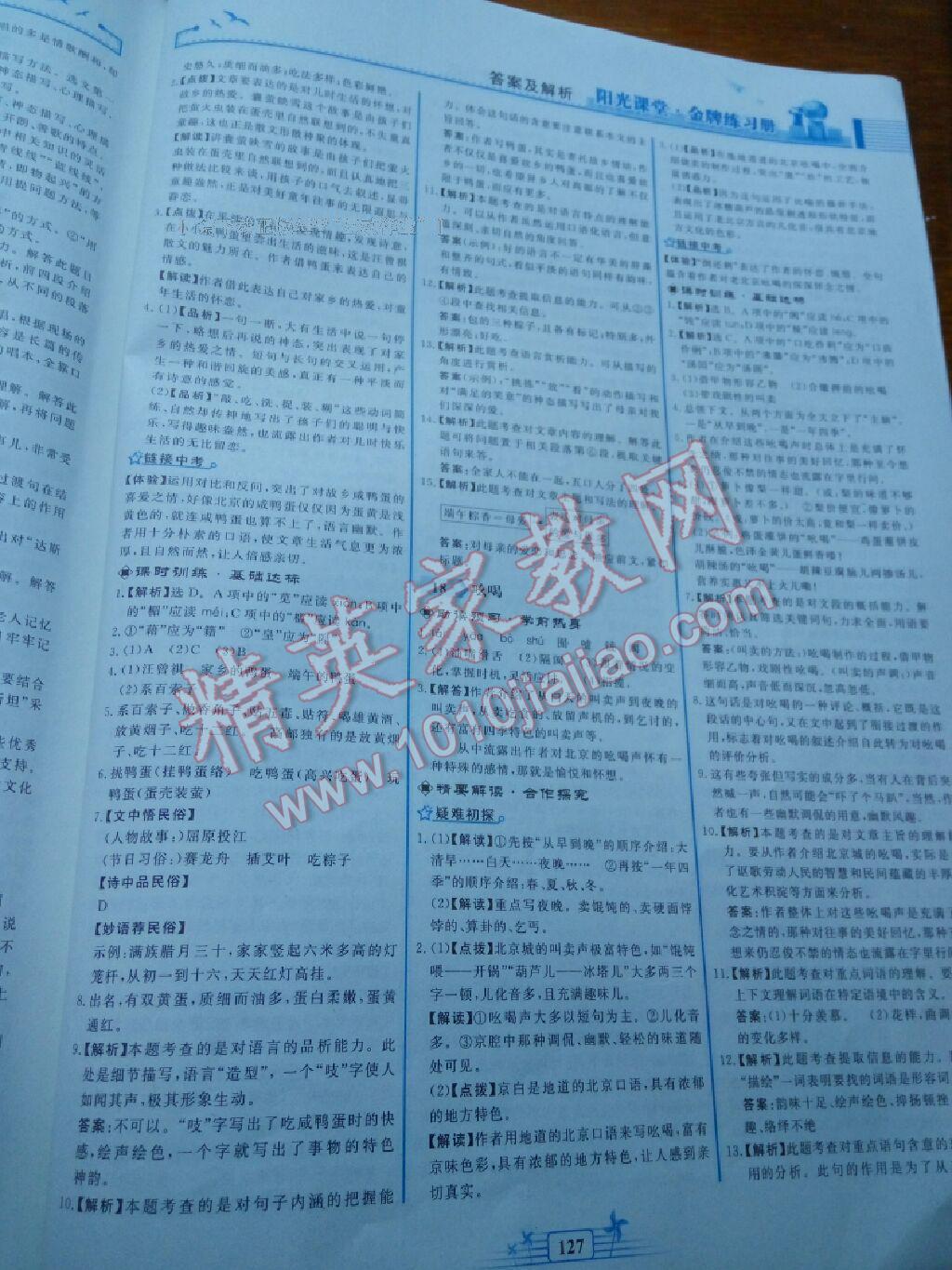 2015年陽光課堂金牌練習(xí)冊(cè)八年級(jí)語文下冊(cè)人教版 第99頁
