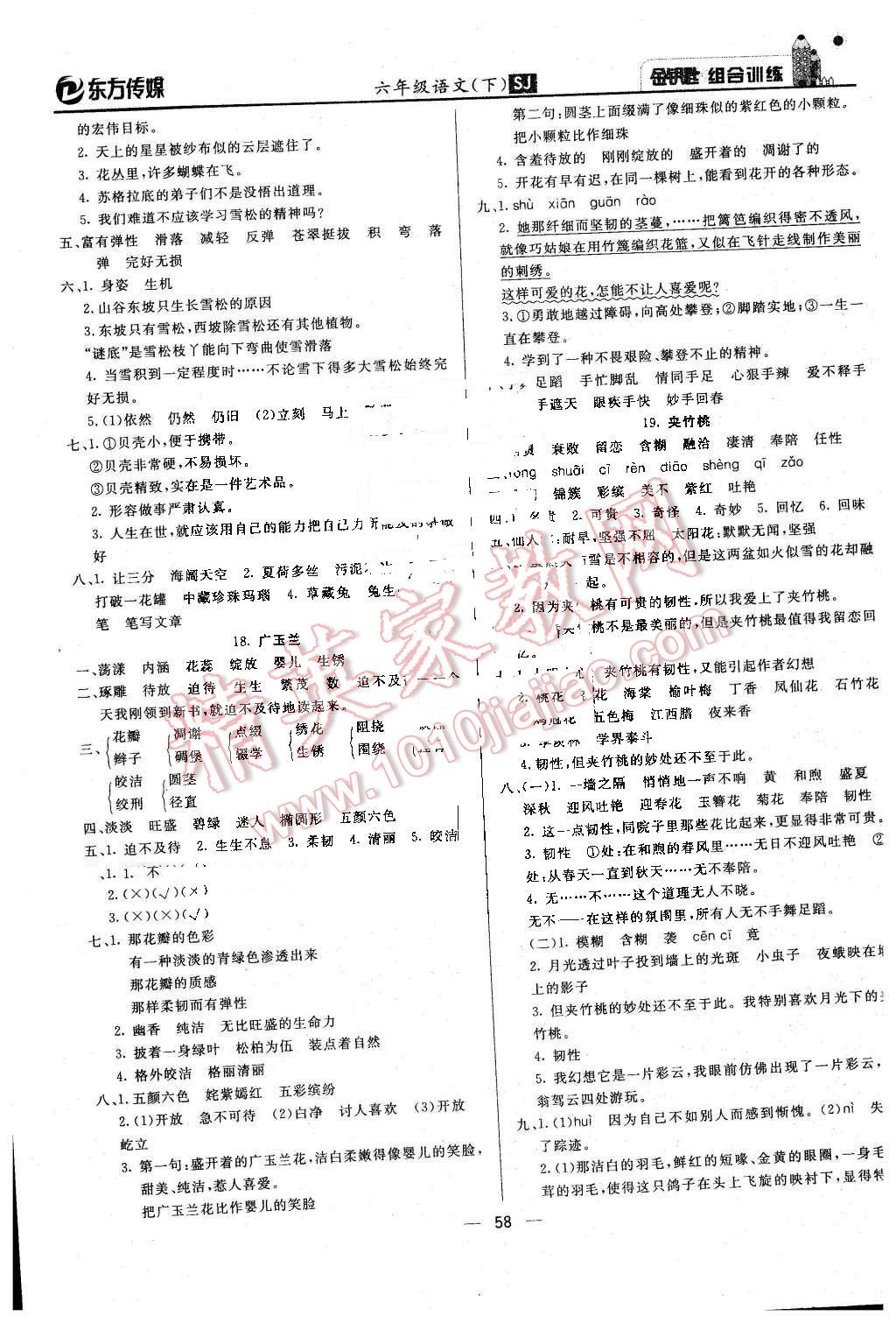 2016年金钥匙组合训练六年级语文下册苏教版 第10页