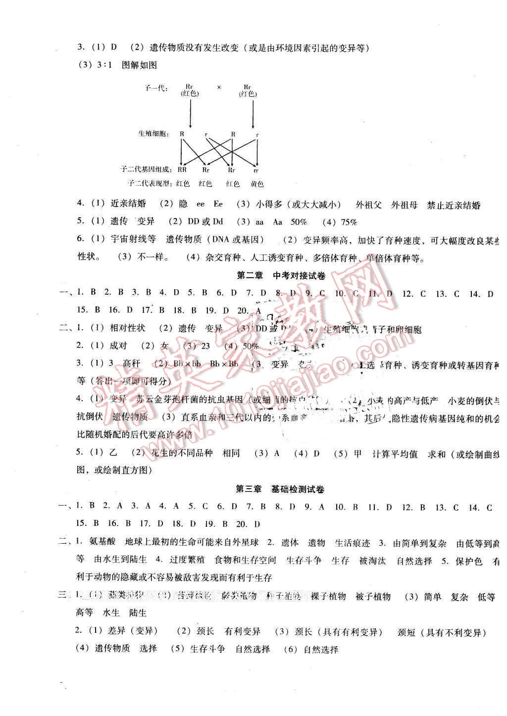 2016年單元加期末復(fù)習(xí)與測試八年級生物下冊人教版 第3頁