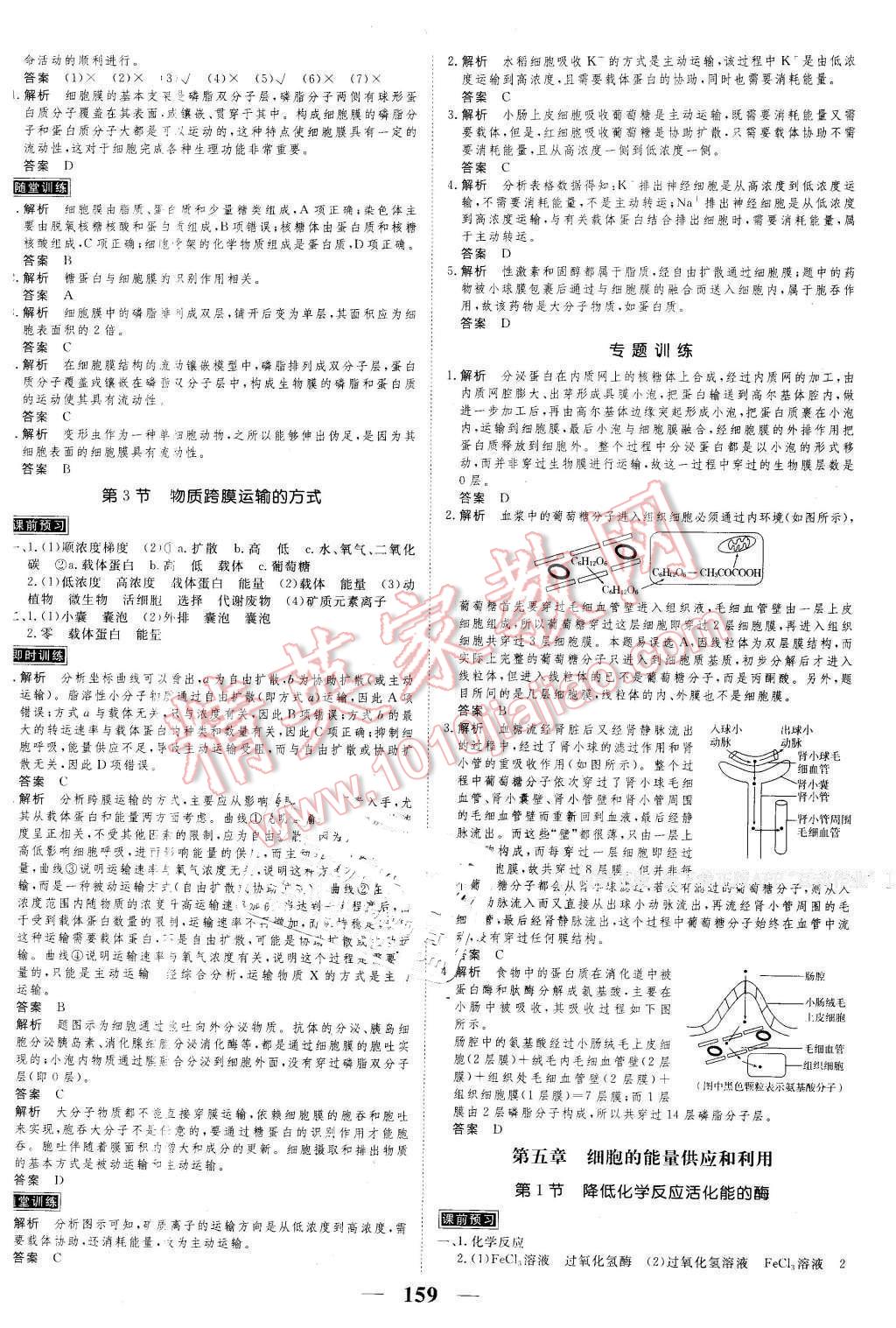 2016年新課標(biāo)學(xué)案高考調(diào)研生物必修1 第7頁