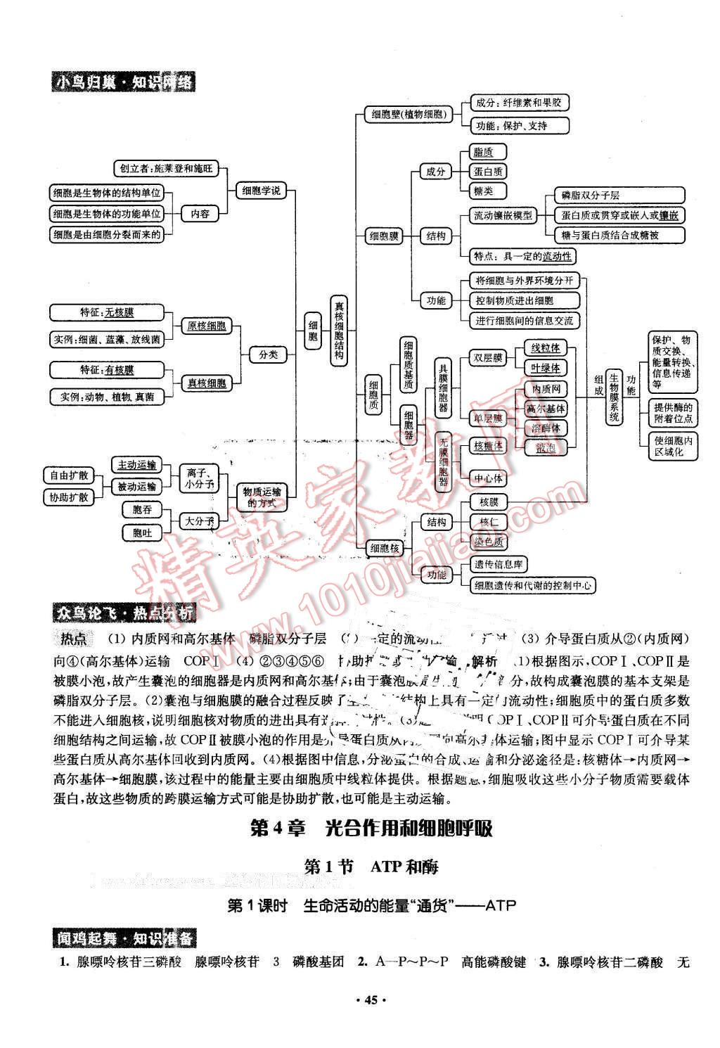 2016年鳳凰新學(xué)案高中生物必修1蘇教版B版 第45頁