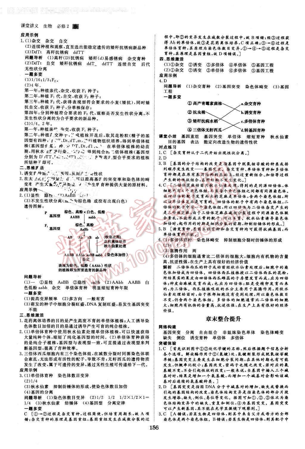 2016年創(chuàng)新設(shè)計(jì)課堂講義生物必修2浙科版 第11頁