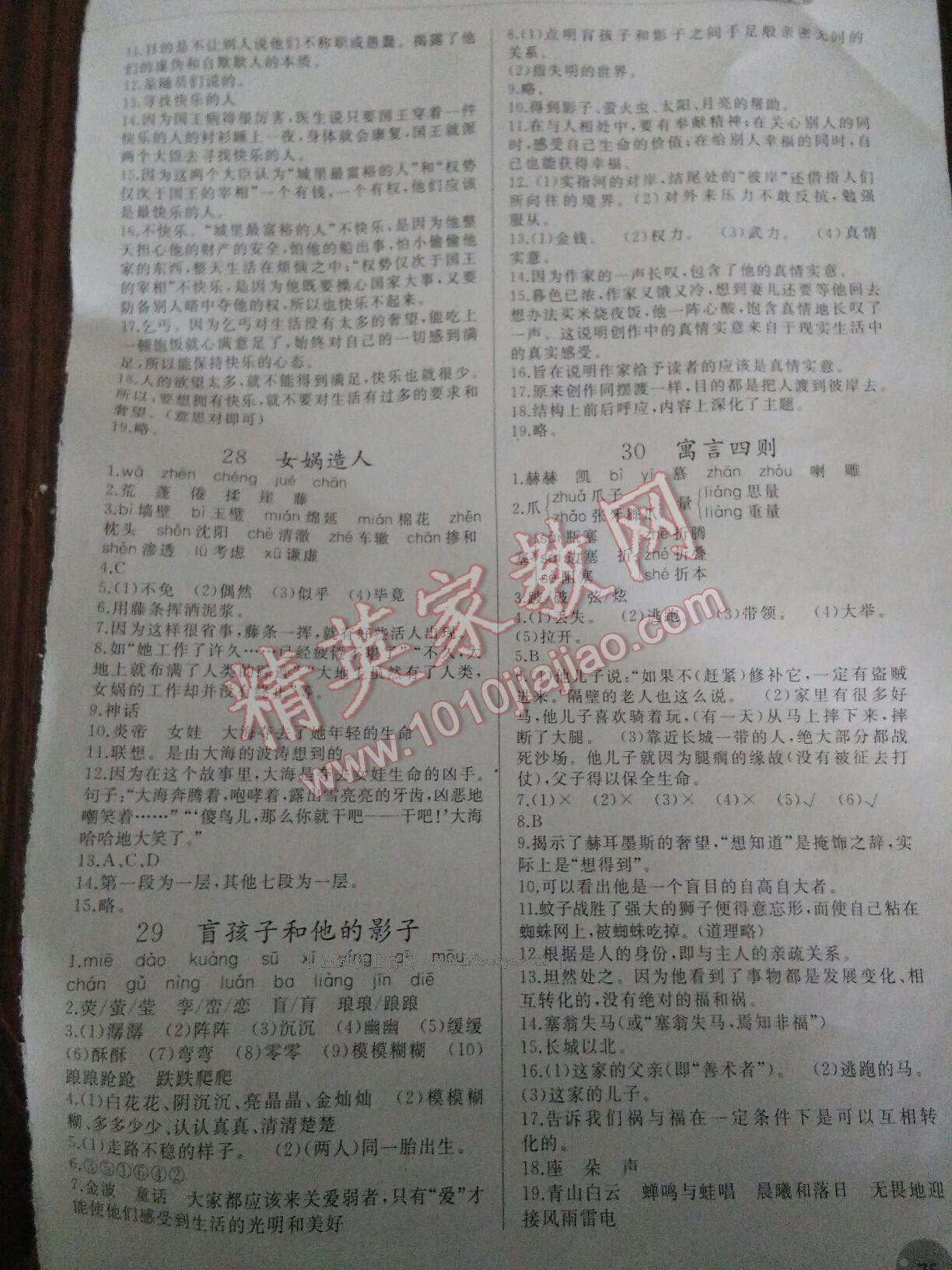 2014年同步练习册七年级语文上册人教版人民教育出版社 第11页