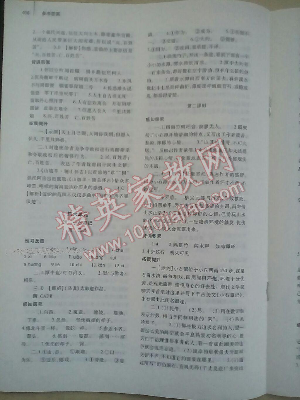 2015年基礎(chǔ)訓(xùn)練八年級語文下冊人教版河南省內(nèi)使用 第25頁