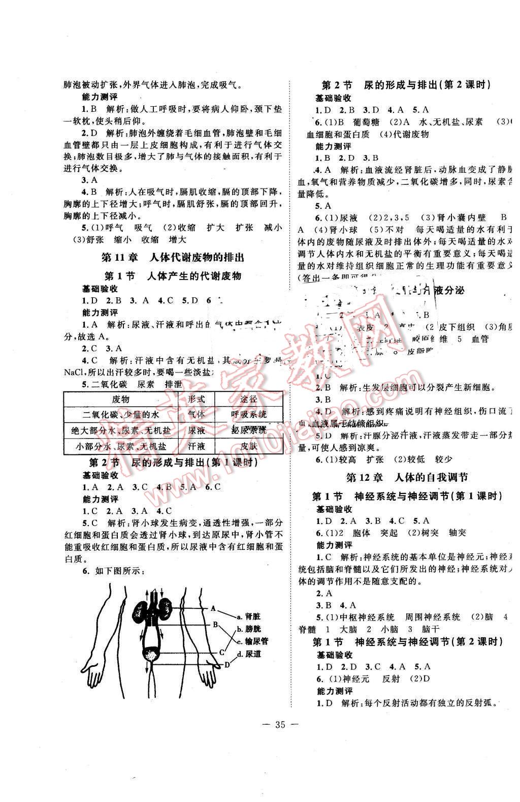 2016年課堂精練七年級(jí)生物下冊(cè)北師大版單色 第3頁(yè)