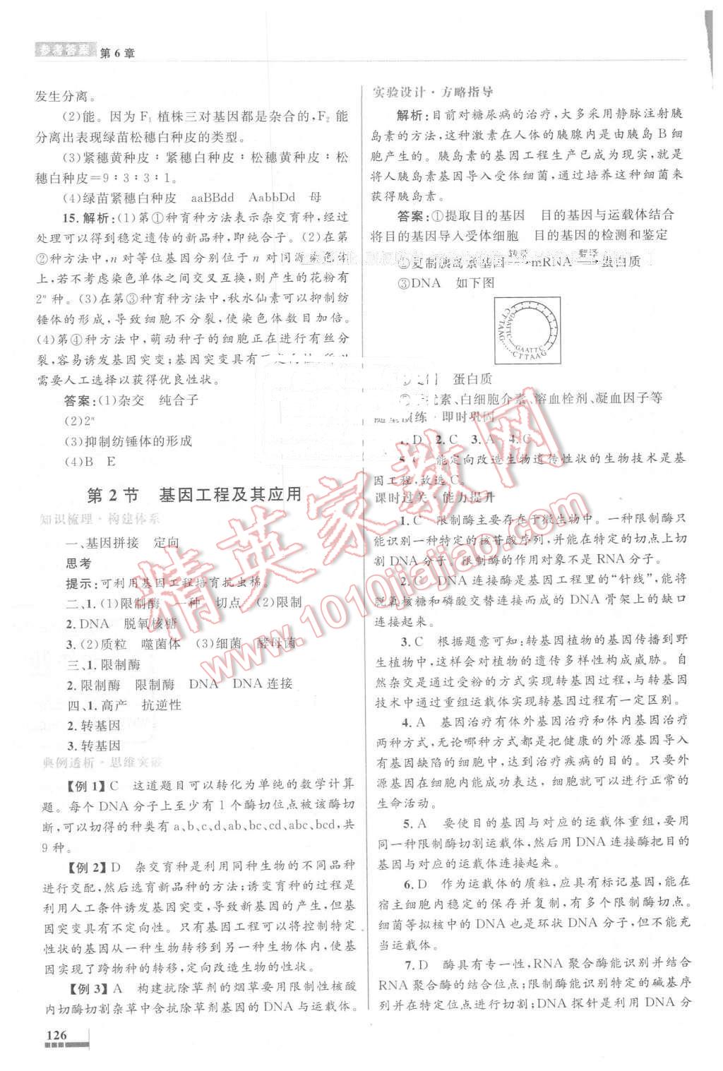 2016年高中同步測(cè)控優(yōu)化設(shè)計(jì)生物必修2人教版 第25頁(yè)