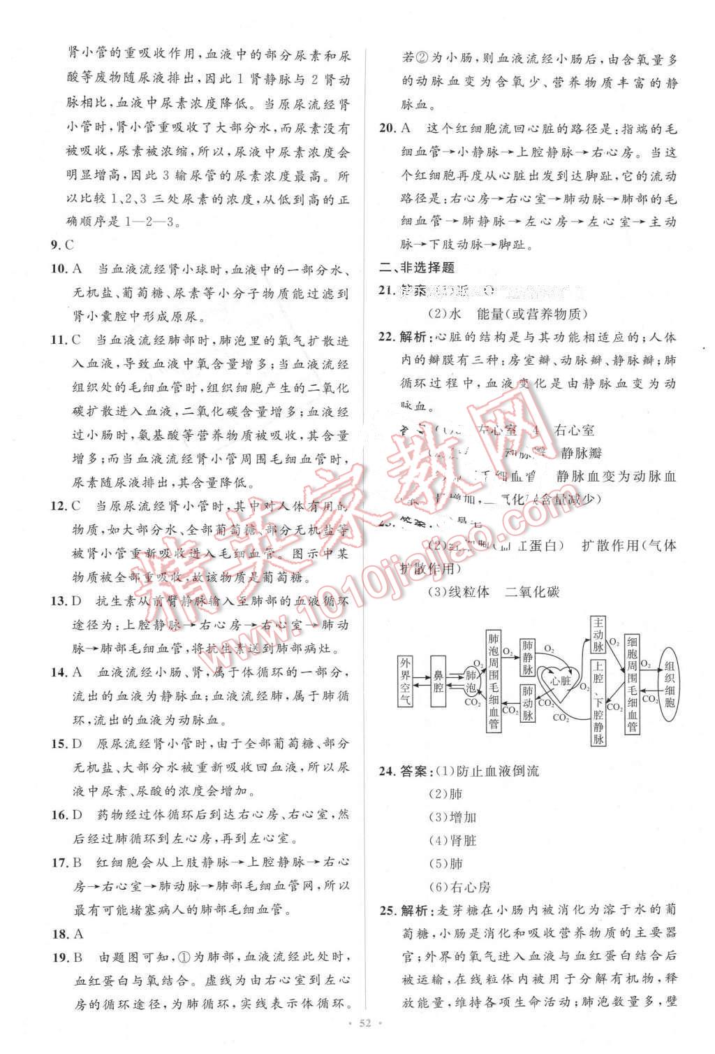 2016年新課標(biāo)初中同步學(xué)習(xí)目標(biāo)與檢測(cè)七年級(jí)生物下冊(cè)人教版 第30頁(yè)