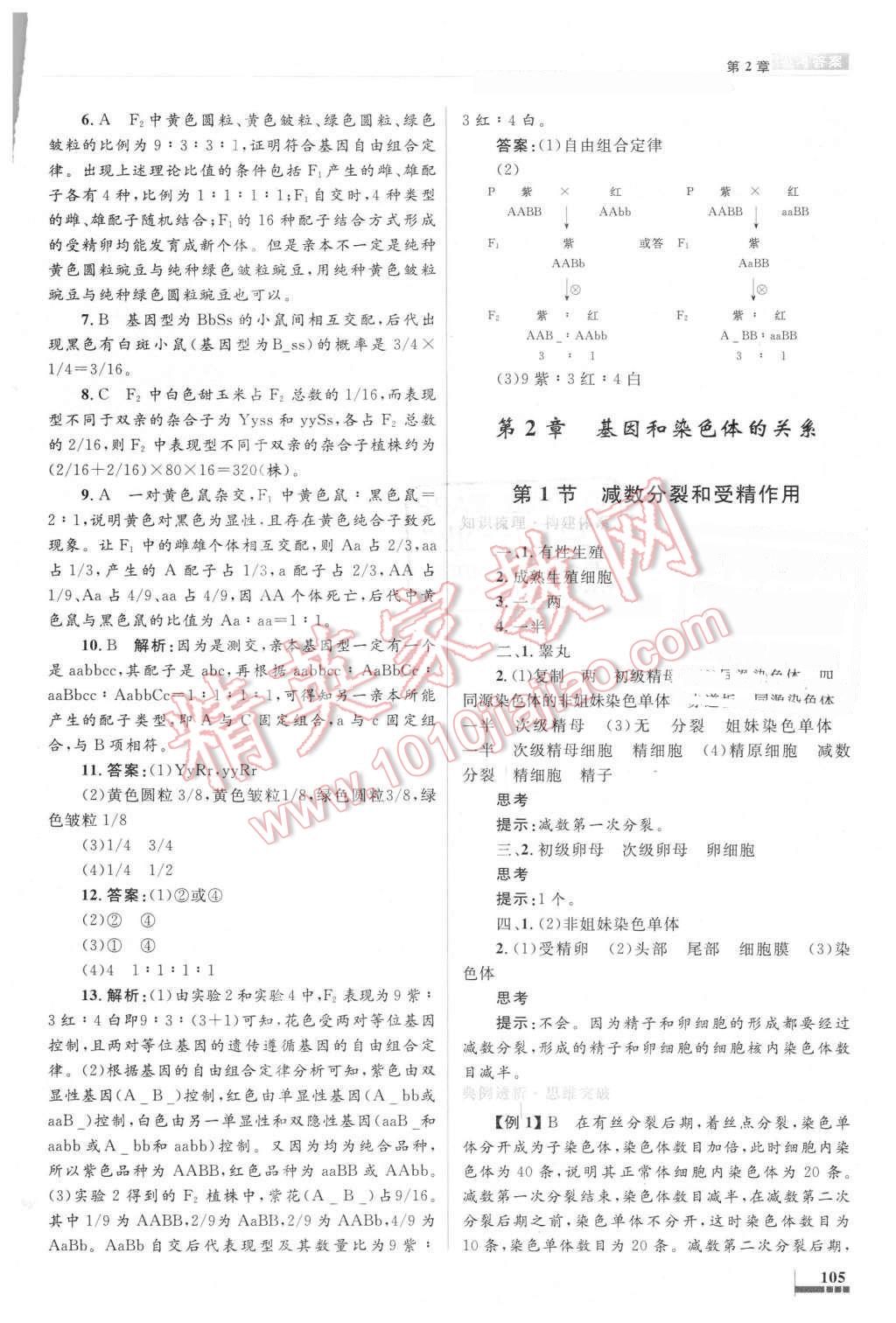 2016年高中同步測控優(yōu)化設(shè)計生物必修2人教版 第4頁