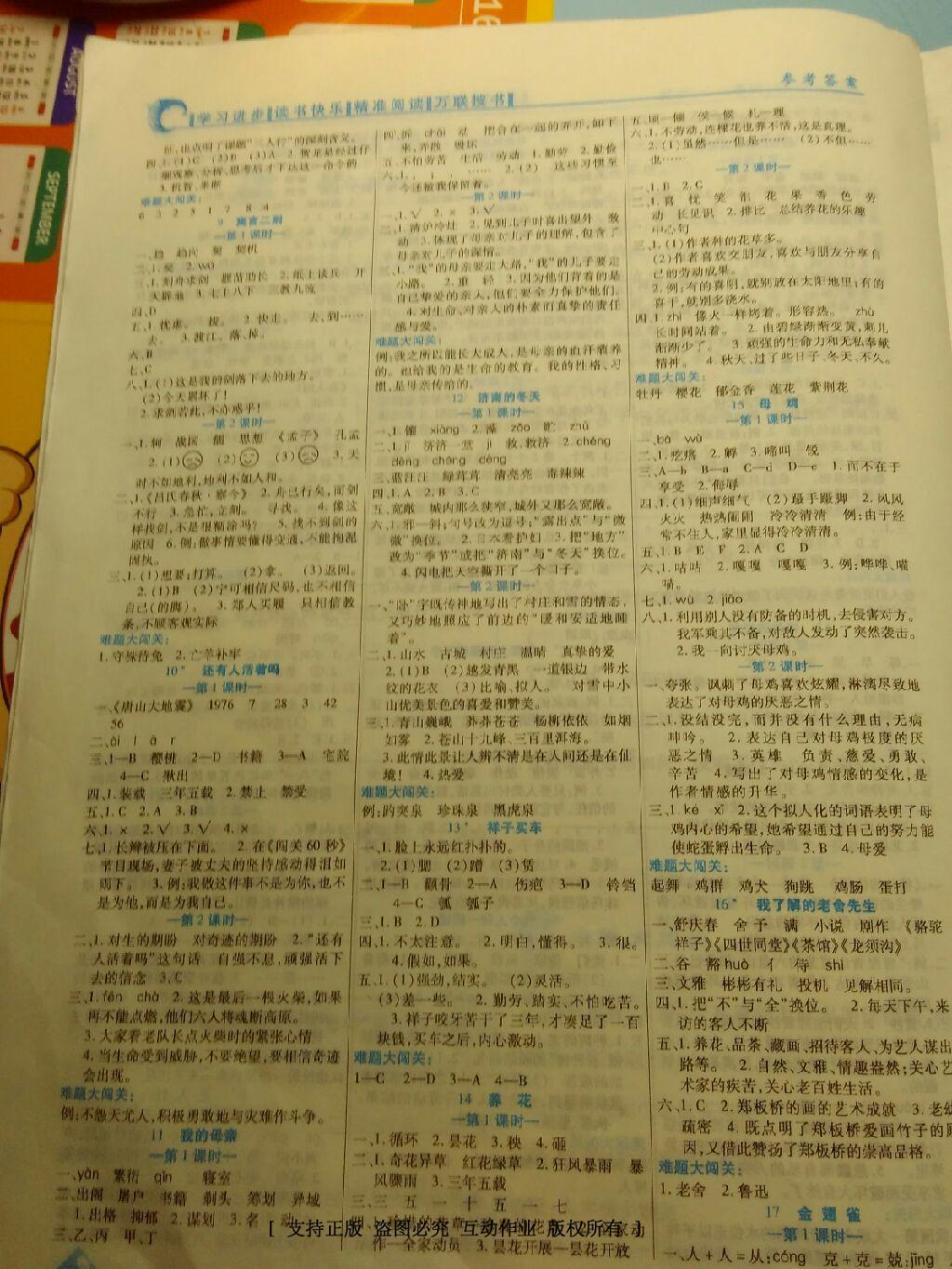 2015年全優(yōu)課堂考點集訓與滿分備考六年級語文下冊 第10頁