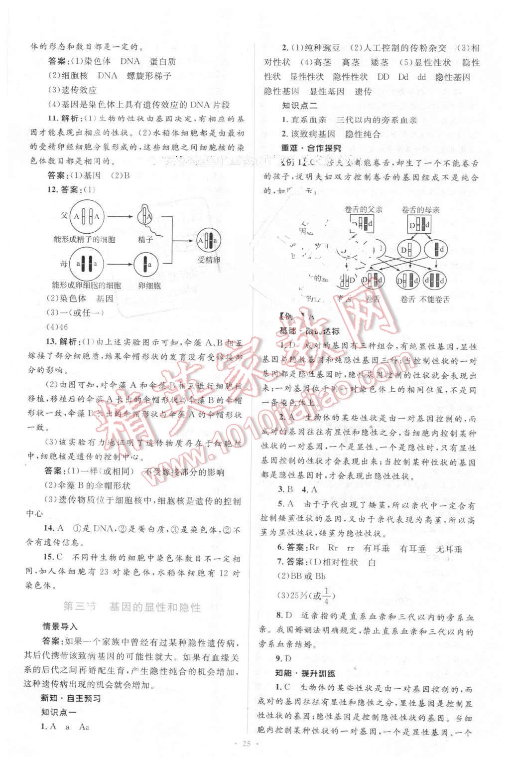 2016年新課標初中同步學習目標與檢測八年級生物下冊人教版 第7頁