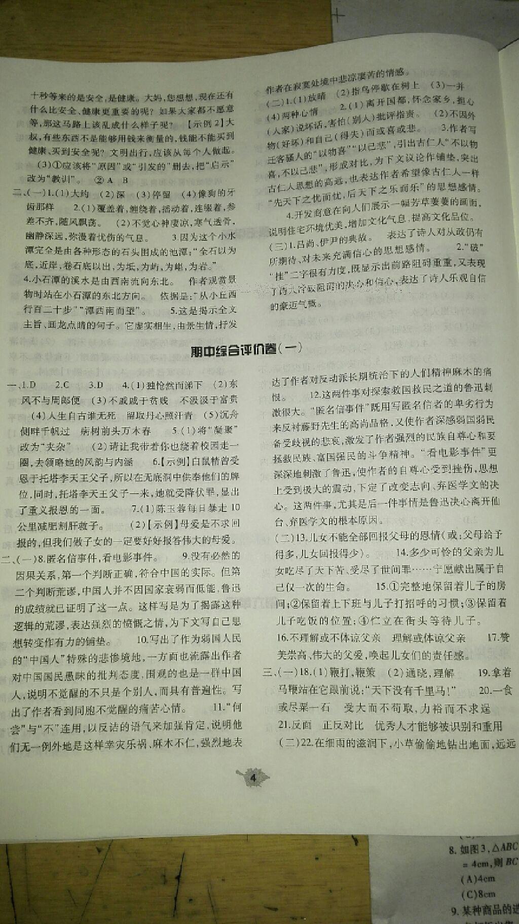 2014年基礎(chǔ)訓(xùn)練八年級(jí)語文下冊(cè)人教版 第309頁