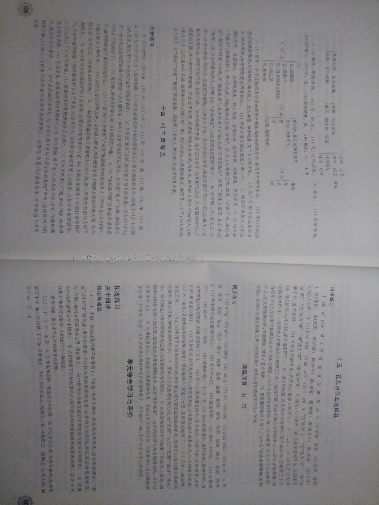 2015年学习与评价八年级语文下册苏教版江苏凤凰教育出版社 第41页