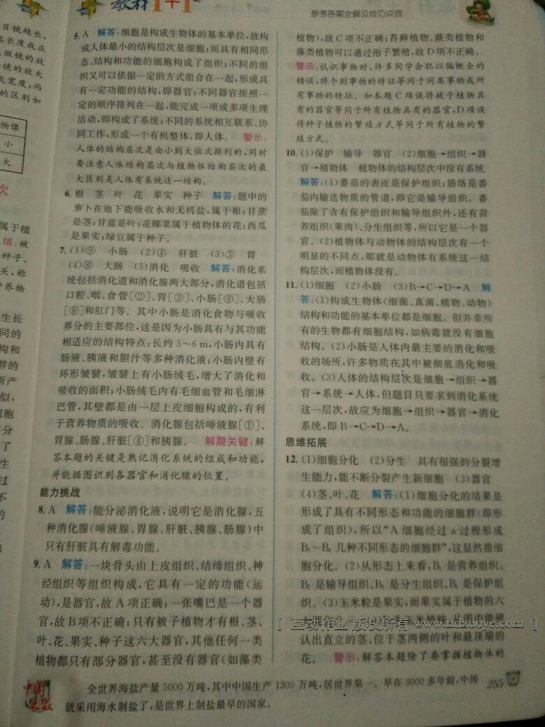 2015年教材1加1七年級(jí)科學(xué)上冊(cè)浙教版 第36頁