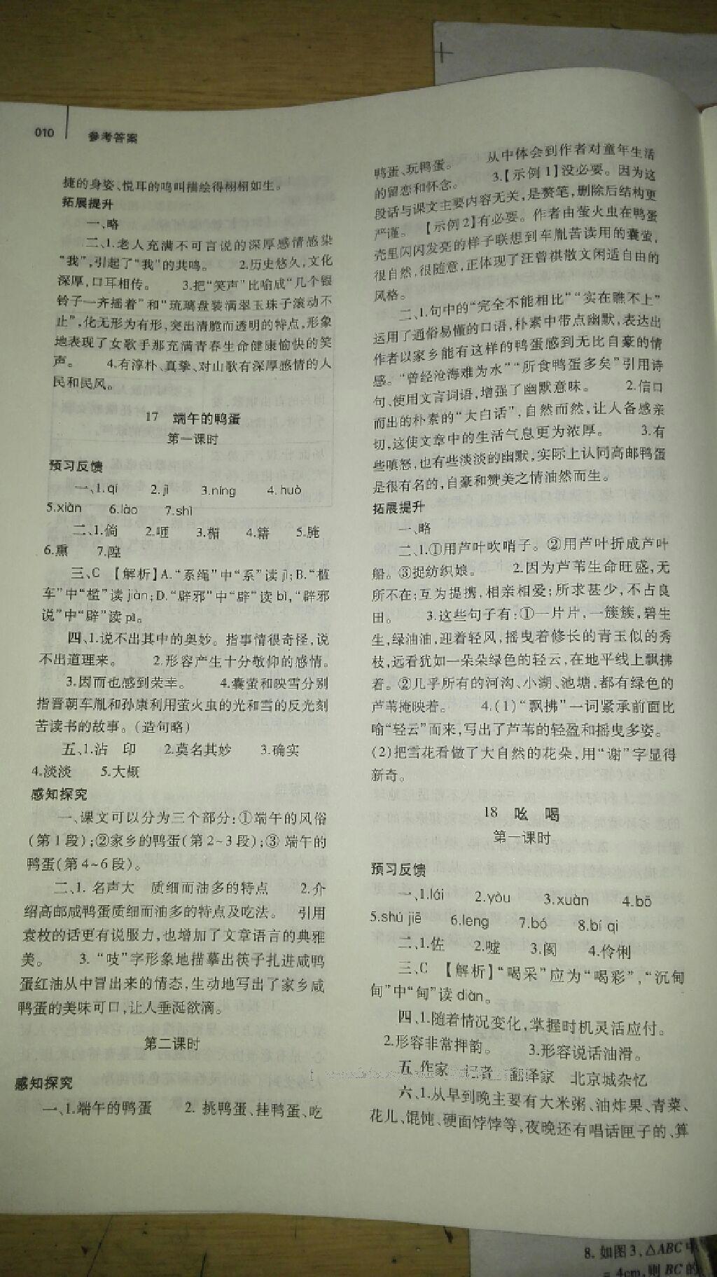 2014年基礎(chǔ)訓(xùn)練八年級語文下冊人教版 第294頁