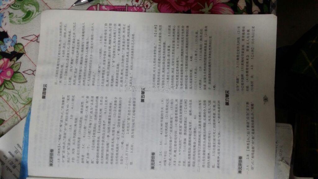 2015年基礎(chǔ)訓(xùn)練七年級(jí)語文下冊(cè)人教版僅限河南省使用大象出版社 第32頁