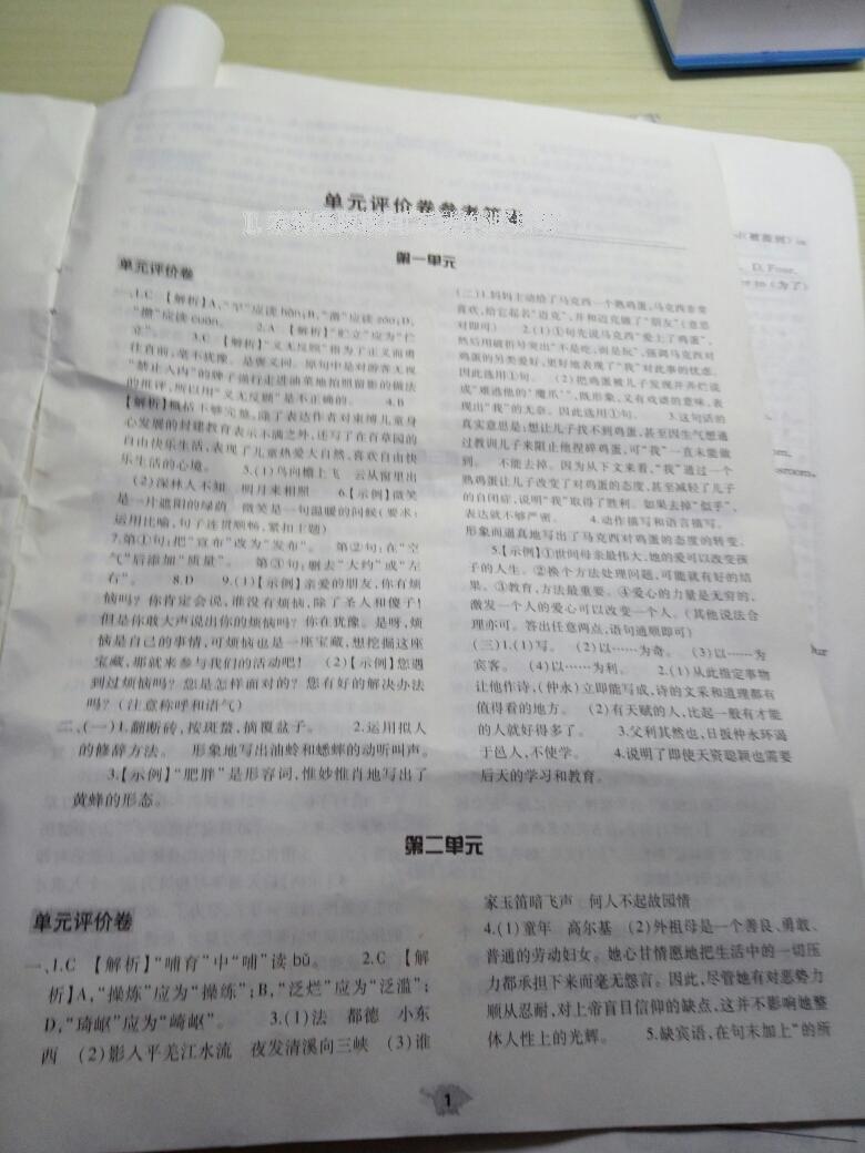 2015年基礎(chǔ)訓練七年級語文下冊人教版僅限河南省使用大象出版社 第142頁